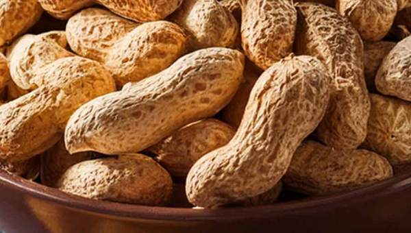 Peanuts